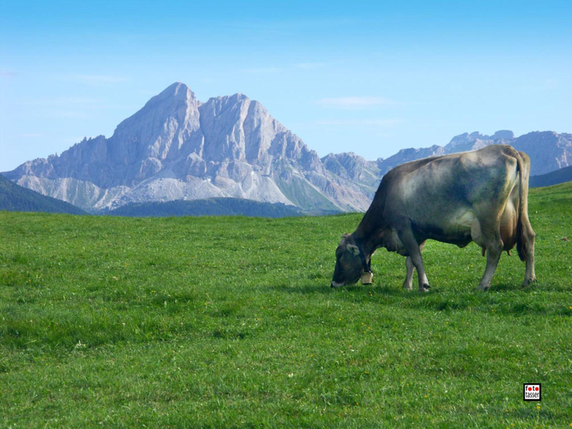 Farm stay Vitroler Hof Rodengo